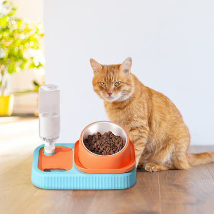 3 in 1 Pet Food Container with Automatic Drinking Bottle_1