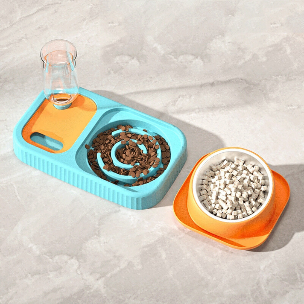 3 in 1 Pet Food Container with Automatic Drinking Bottle_4